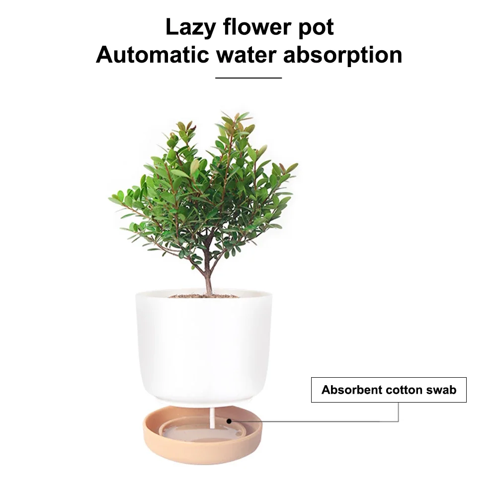 , Absorção Automática de Água, Aquicultura Suculenta, Organizador de Absorção de Água, Vaso de plantas, Cachepot para flor