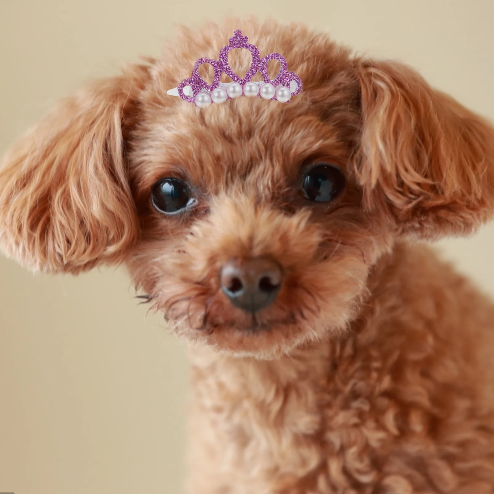 

30pcs Pet Hairpins For Dogs Small Cute Crown-Shaped Hair Clips Styling Accessories Party Wear Dog Hair Decors Puppy Cat