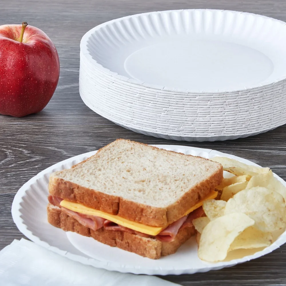 

Uncoated Disposable Paper Plates 9 Inch Microwave Safe 300 Count Strong Durable Soak Proof Round Plates Parties Catering Events