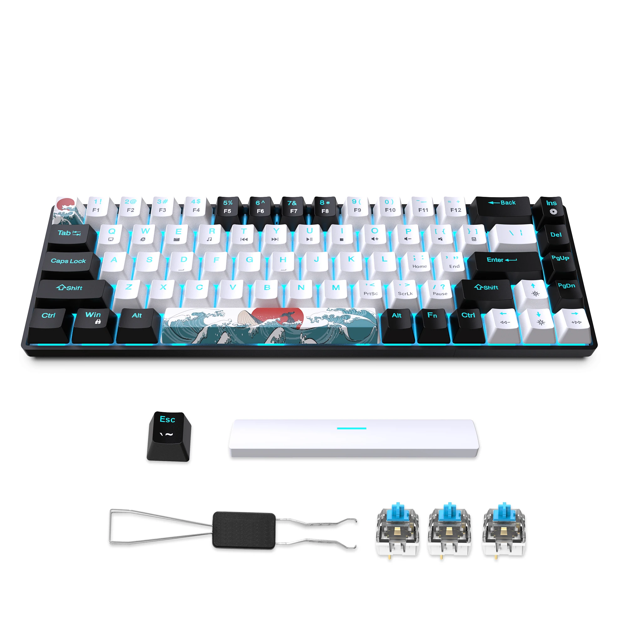 

Mechanical Gaming Keyboard 68 Keys, Blue Switches & Multi-colored, Detachable Type-C Mini Gaming Keyboard