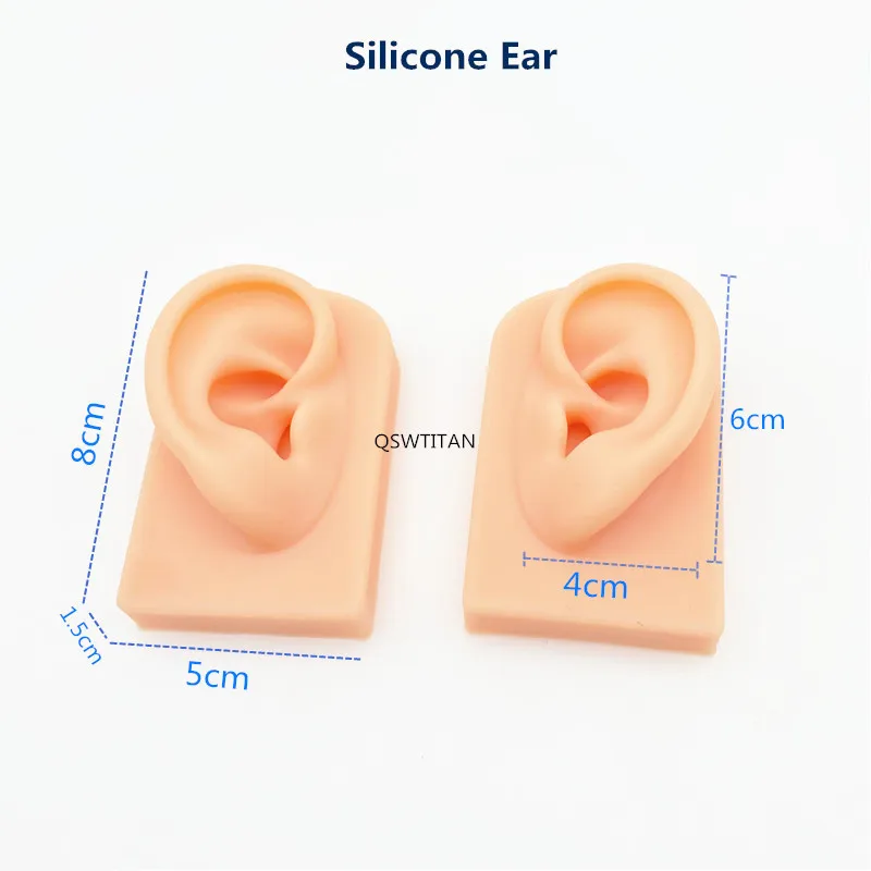 Silicone Ear Model Simulation skin ear model Acupuncture Study Practice Piercing Jewelry Earring Stud Display Ear Model Kit