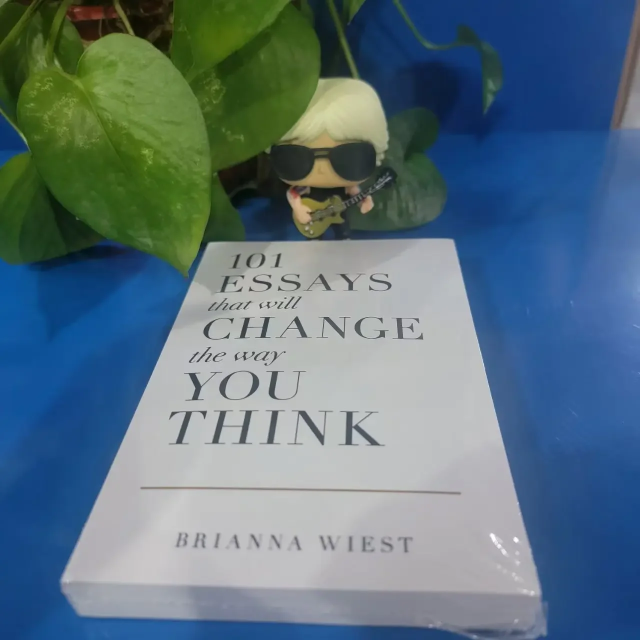 

101 Essays That Will Change The Way You Think Paperback English Book