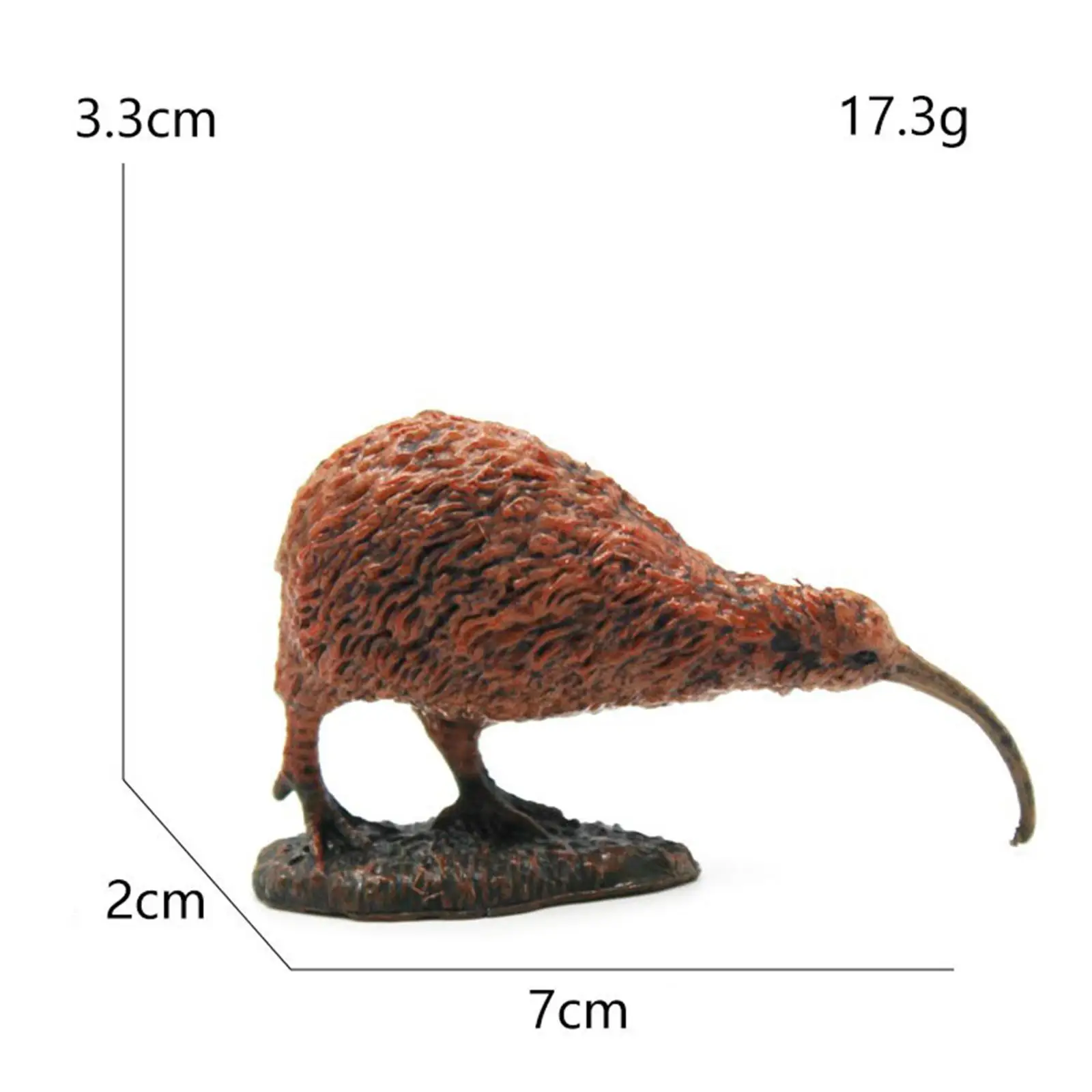 Mini figurine d'oiseau d'Auckland pour enfants, ornement modèle réaliste, jouet de jeu d'anniversaire, 5 pièces