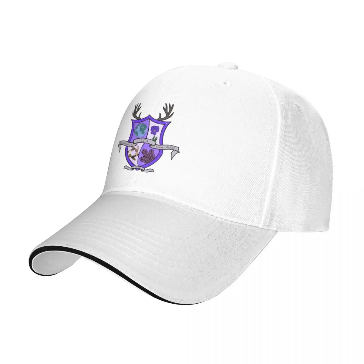 

Delta Gamma Chi Insignia Merch Baseball Cap Ball Cap Visor Snap Back Hat fashionable Women Beach Fashion Men's
