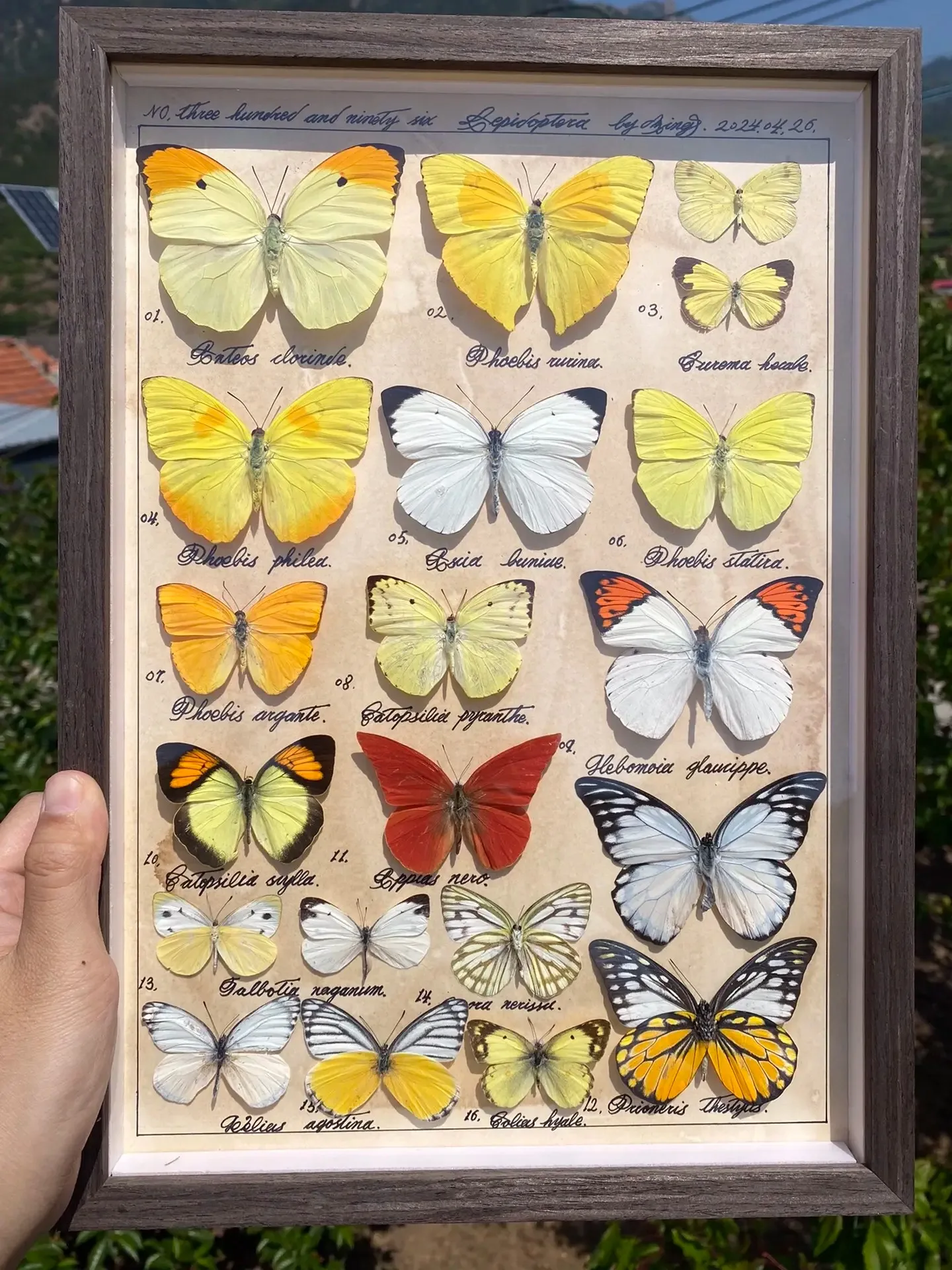 

4Pcs Snow Sand Tires Tyre Wheel for Wltoys 144001 124018 124016 124017 144010 124019 H16P H16E 1/14 1/16 1/18 RC Off-road Car