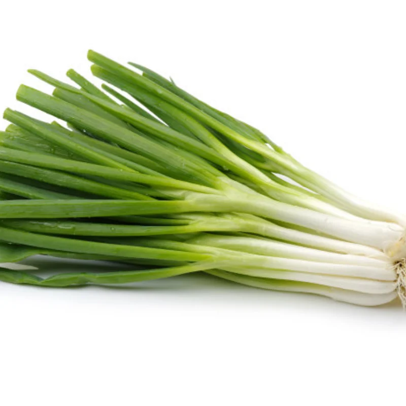 إطارات الانجراف البلاستيكية الصلبة RC لـ Trxs HSP Tamiya HPI - تصميم مسطح ناعم لـ Wltoys 144001 124018 A959-B MJX 14301 14303 #1