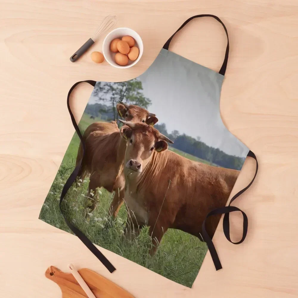 

How Now Brown Cow Apron Household Items Useful kitchen woman Chef Uniform japanese style Apron