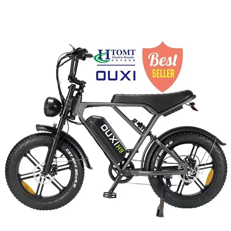 Ebike H9 electric bicycle 500W/1000W 48V 18AH ebike , 20 inch electric fat tire Electric city mountain bike