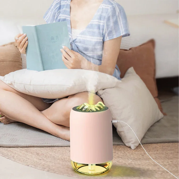Usb Magic Flame Clear Aircare Humidifier Ecofriendly 260ml ที่กําหนดเอง Humidifier OEM Ultrasonic Humidifier Manual Warm Light