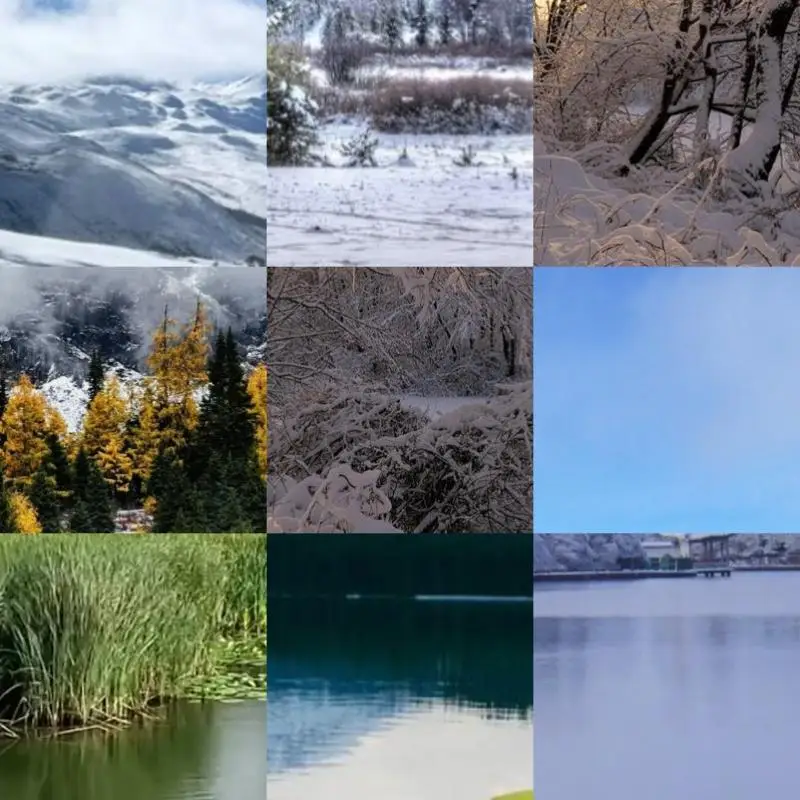 Plastic Battery Bac…