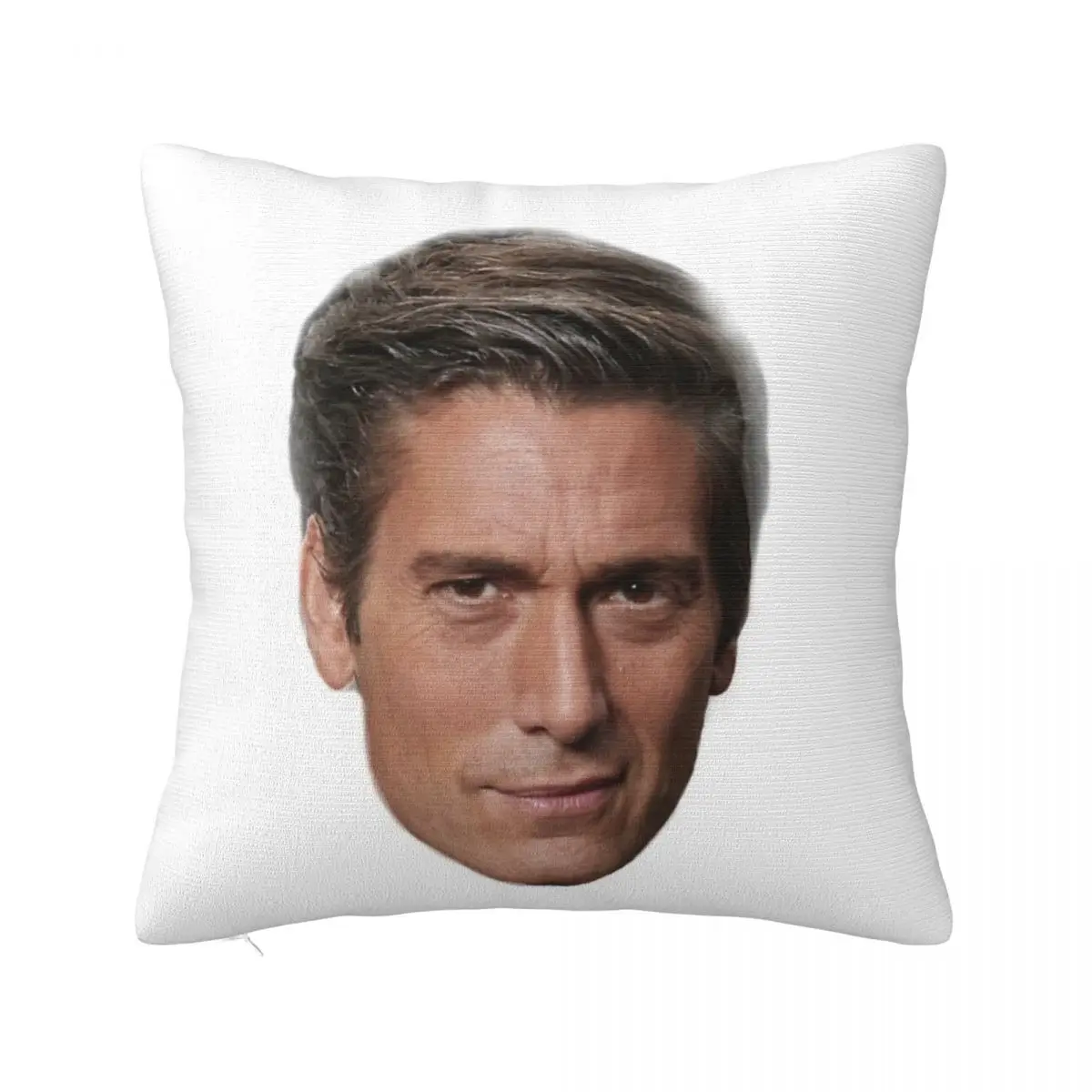 

David Muirhead Cushions Pillow Covers Cushion Cover 45X45 Pillow Case Pillow Cover