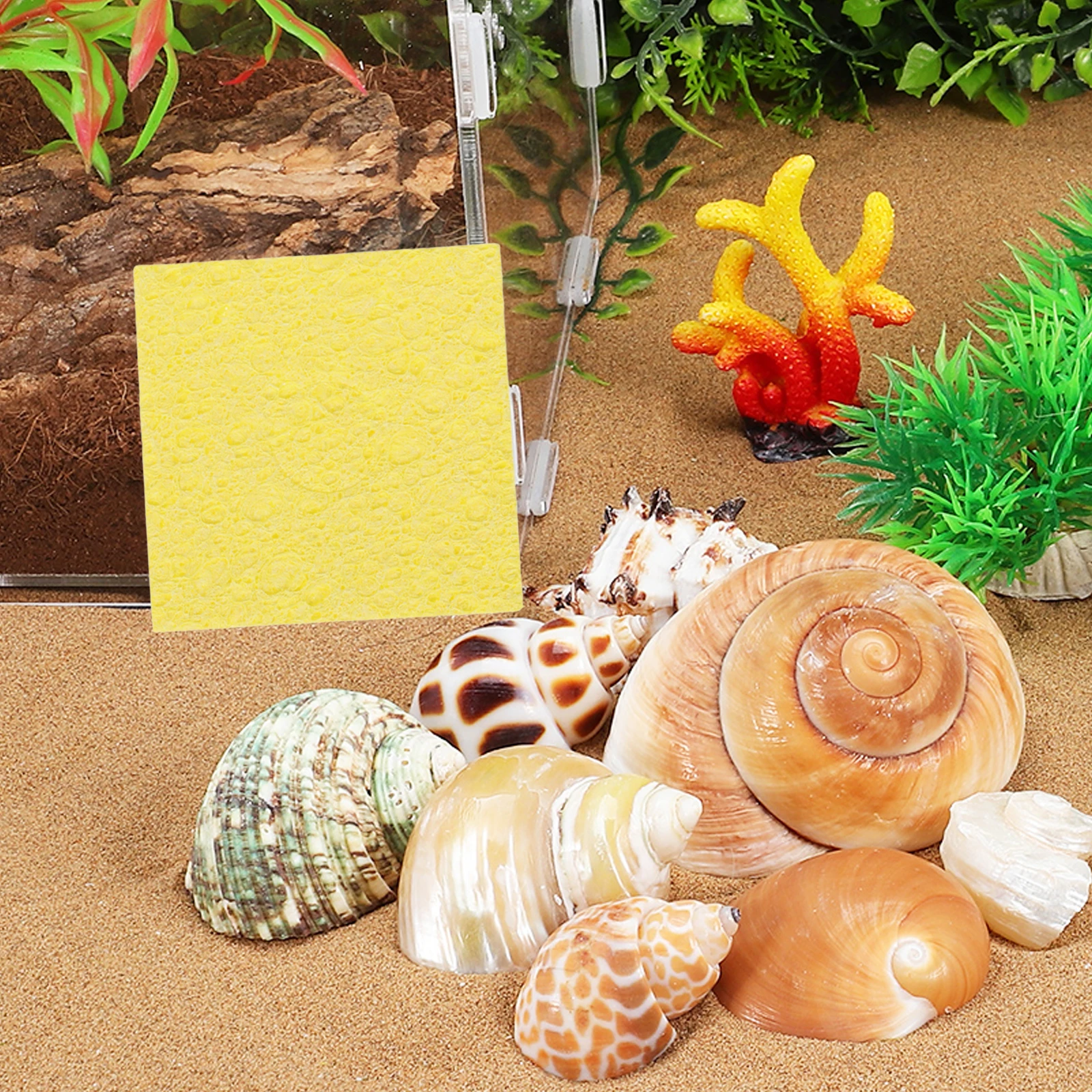 

20Pcs Natural Sea Sponge Hermit Crab Tank Humidity Sponges Unbleached Round Sponges for Reptile Water Dish Moisture Retention