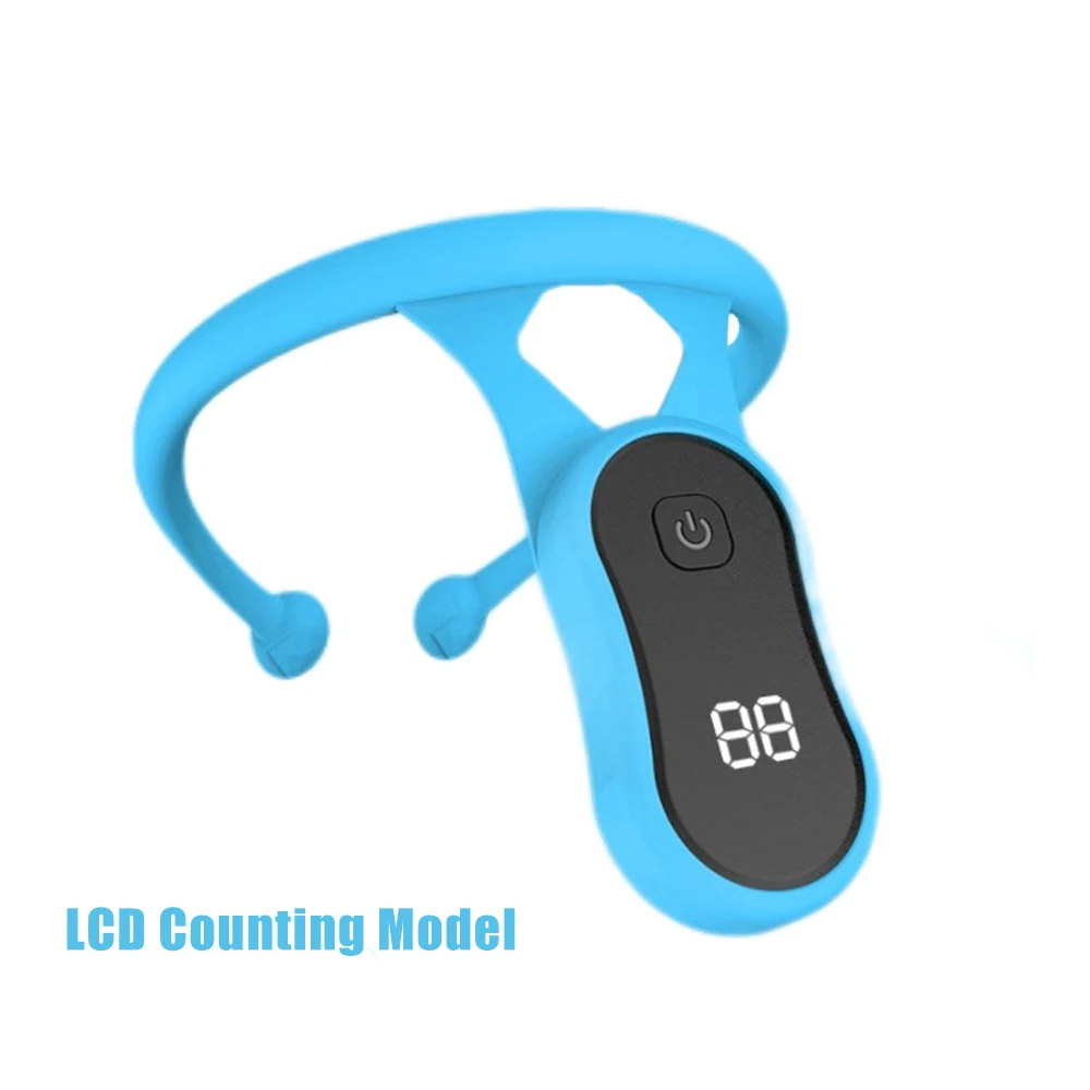 Variant: LCD Counting Model B