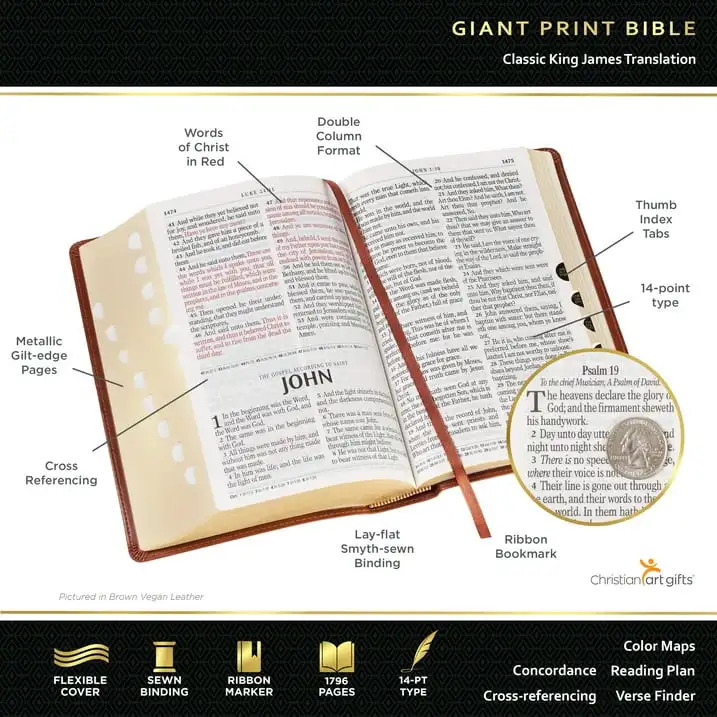 KJV Holy Bible, Giant Print Standard Size Faux Leather Red Letter Edition