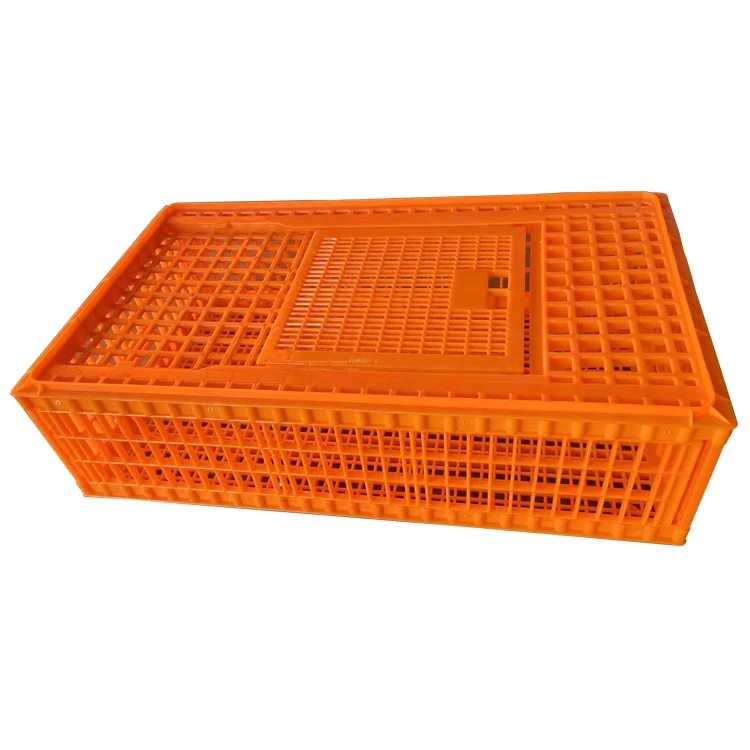

Poultry Farming Plastic Animal Cage Large Size 96cm Long Transport Cages for Chickens