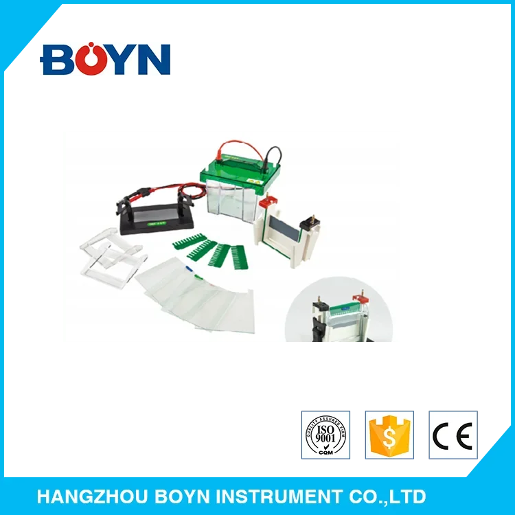 JY-SCZ2+ Mini-Protean Vertical Electrophoresis Cell