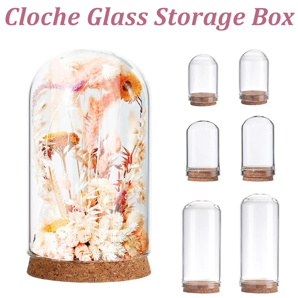 Glass Display Bottle With Cork Base Dome Top Storage Box Dustproof Transparent Display Case Home Decor Storage Table Settings
