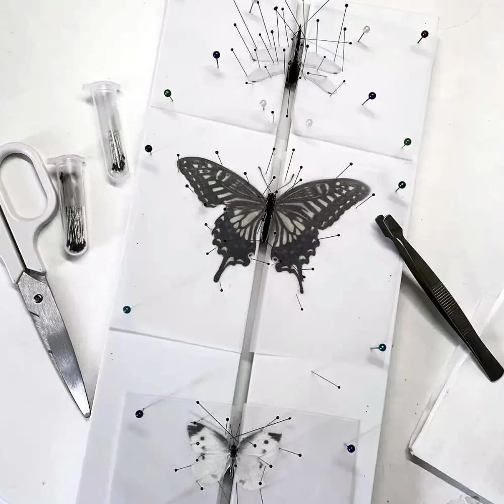 Durable EVA Foam Insect Pinning Board White Combined Plates Pose Insects Boards Bugs Collection