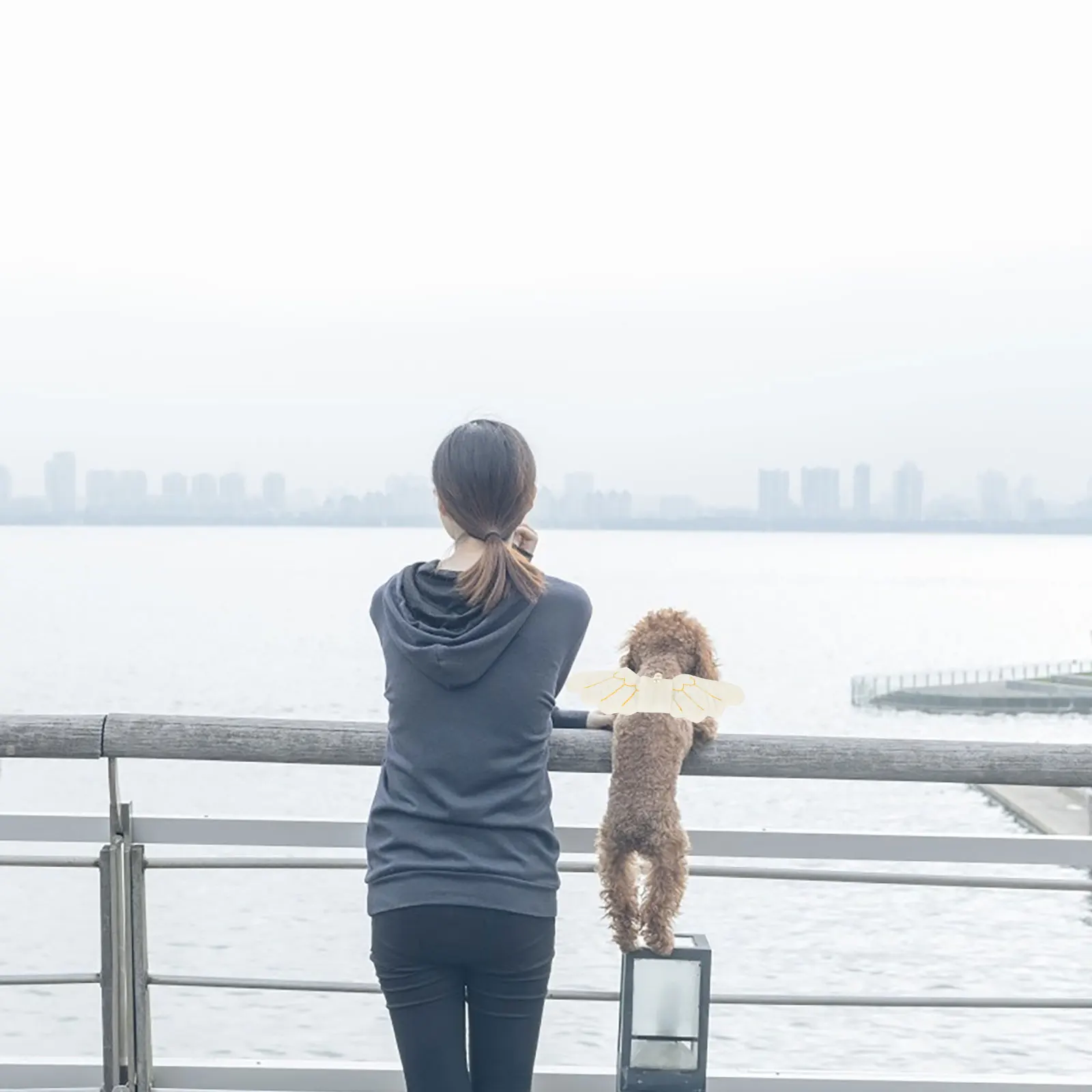 

Wings Coral Fleece Costume Durable Cat Dog Accessory Halloween Party Photo Stylish Cartoon Design