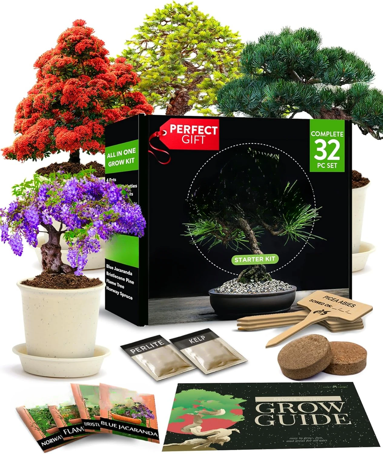 

Bonsai Trees Starter Kit | Unique Japanese Gifts for Moms Who Have Everything, Women, Men