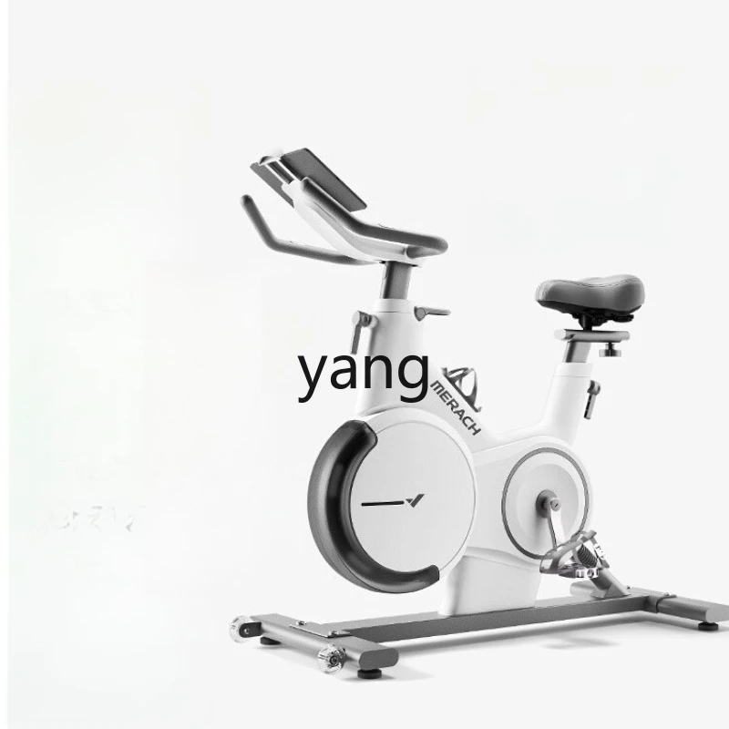 

YJQ Home Self-Generating Professional Indoor Cycling Exercise Equipment