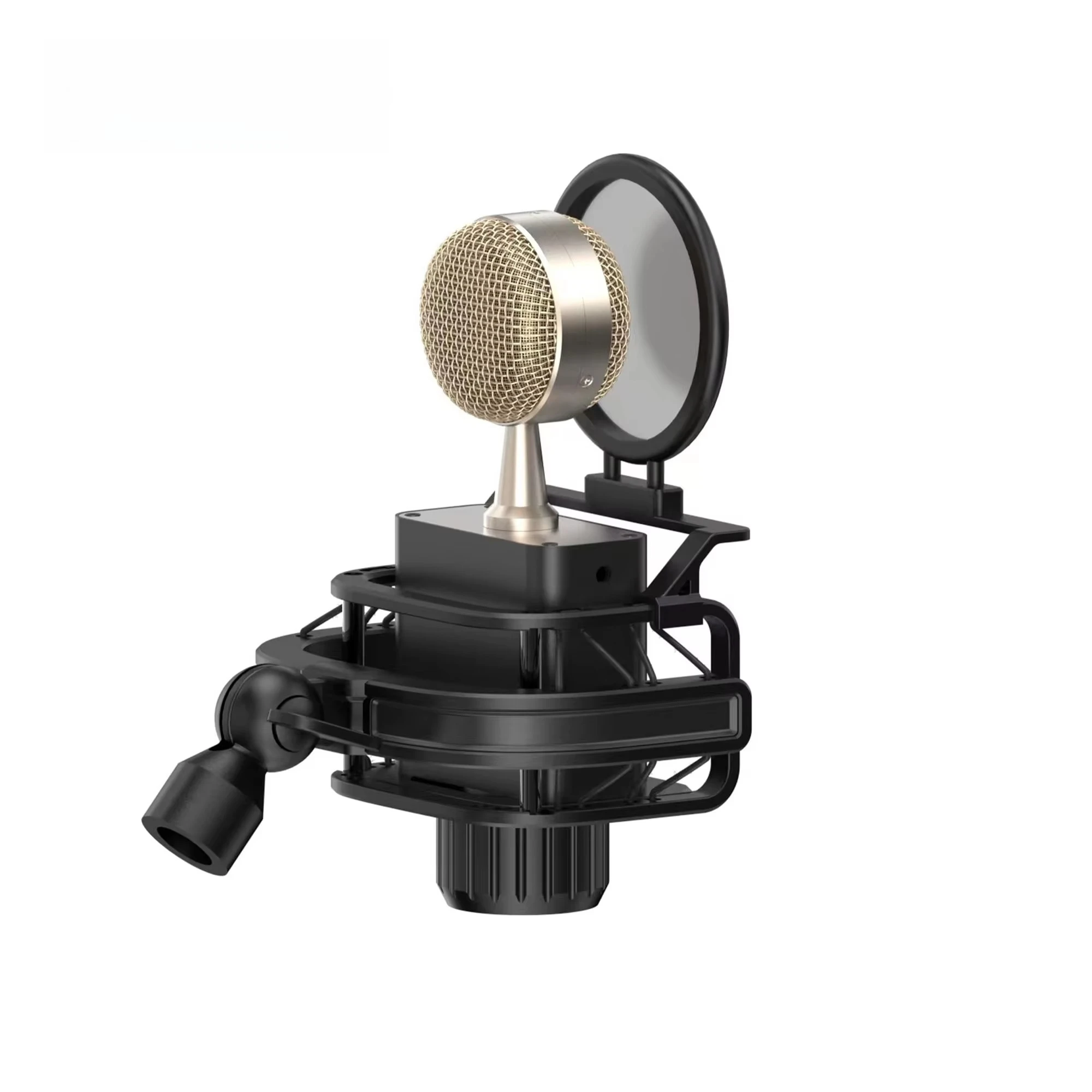 CR632 Professional Wired XLR Condenser Recording Microphone Kit for Teaching and Interviewing Singers