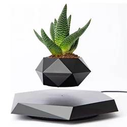 Floating Plant Pot Levitating Plant Pot for Succulents air Bonsai Plants Floating Planter for Home Office Desk Levitating Decor