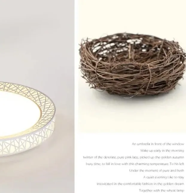 Round bird nest LED ceiling lamp, living room lamp, atmosphere bedroom study, light and simple dining room lighting.