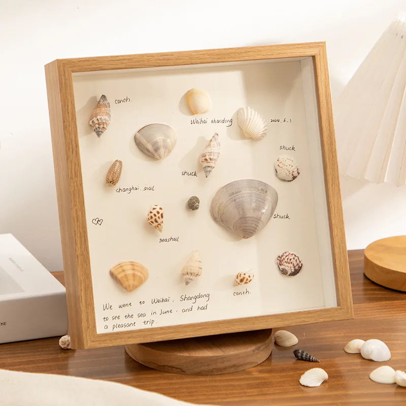 dried flowers/seashell display stand photo frame DIY handmade gift preserved flowers specimen frame