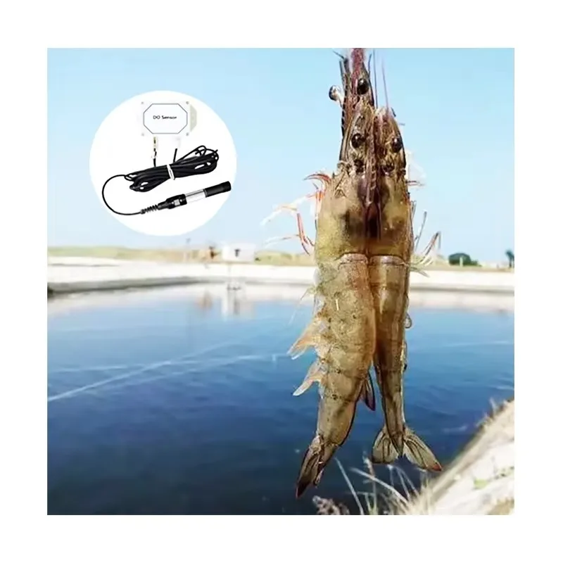 

Online Monitoring Digital RS485 MODBUS Water Dissolved Oxygen Sensor for Shrimp Farm