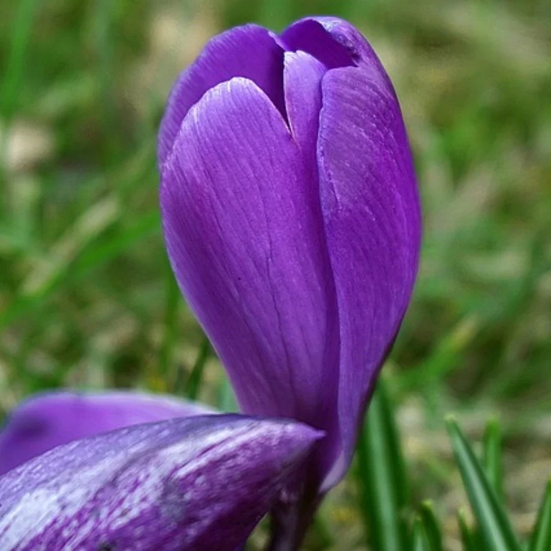 

4 шт. 1,9-дюймовые колесные диски с бусинами для 1/10 RC гусеничного автомобиля Axial SCX10 II 90046 Trxs TRX-4 RedCat Gen8