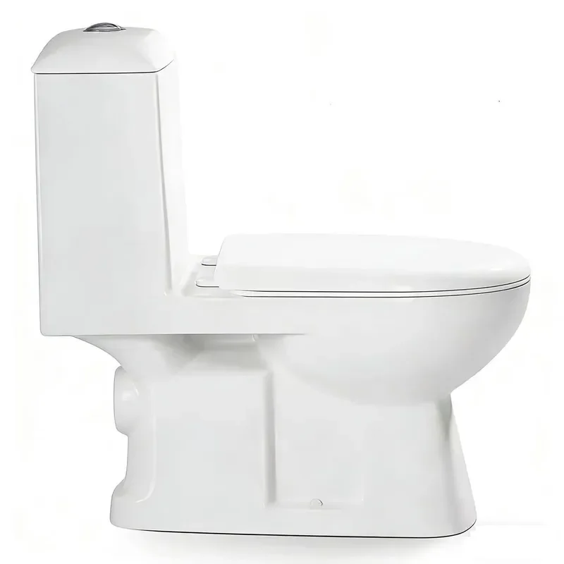 for Horizontal Wall Mounted Rear Outlet Toilet Water Saving Splash Proof Straight Flush