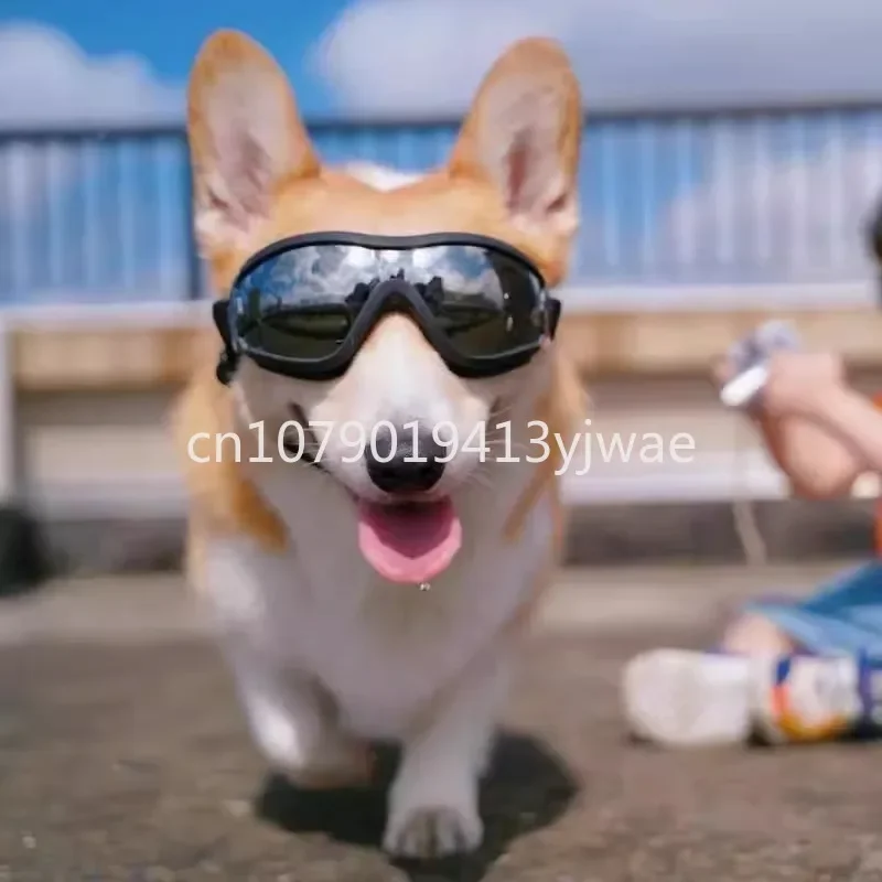 Pet goggles Fuzai same puppy dog small dog corgi waterproof and anti-fog windproof sand sunglasses windproof glasses in stock