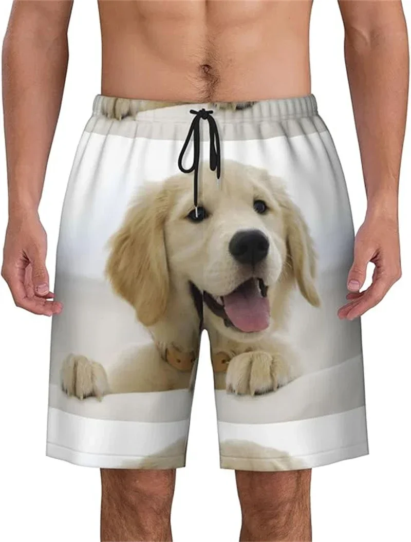 Lustige Haustier-Hundeshorts, coole 3D-Druck-Herrenshorts, süße Tier-Shorts für den Sommer, zum Spazierengehen, als Schlafanzug, lässige Mode, Strandshorts – Detail 4