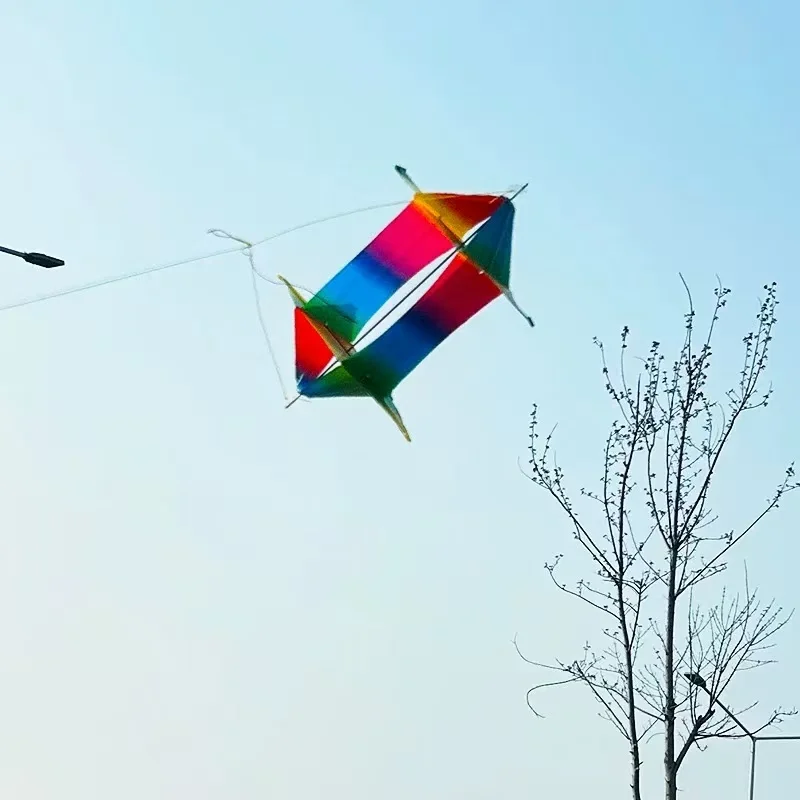 

PE kite flying toys for children kites 3d kites revolve kites string line fishing rod line eagle kite toys Flying volantin fun