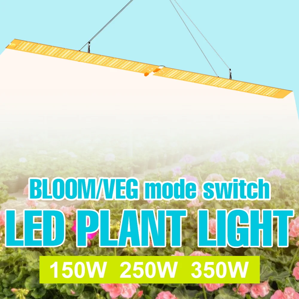 350W LED Quantum Board Plant Grow Light Full Spectrum Hydroponic Fill Lamp UV/IR Greenhouse Vegs Succulent Cultivation Lighting