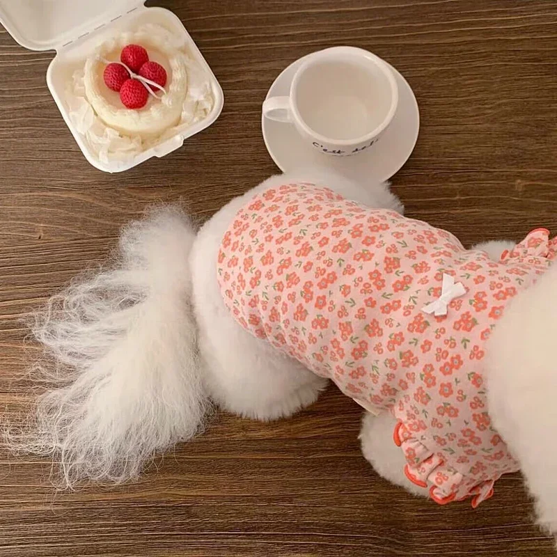Thumbnail 4 - #63 Trending Pet Apparels Right Now