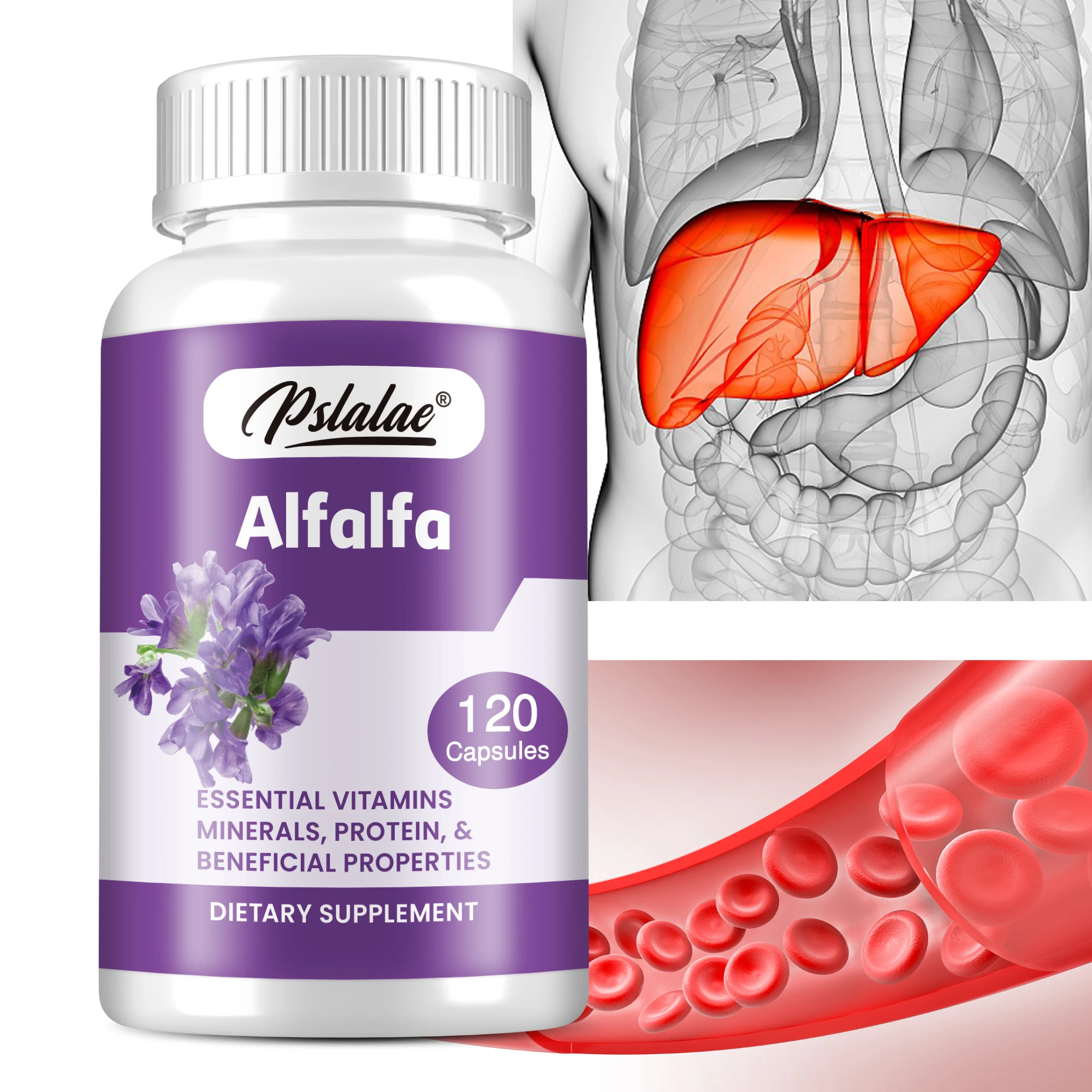 

Alfalfa Capsules - Supports Urinary Tract and Liver Health, Promotes Blood Circulation, Improves Digestive, Promotes Smooth Skin