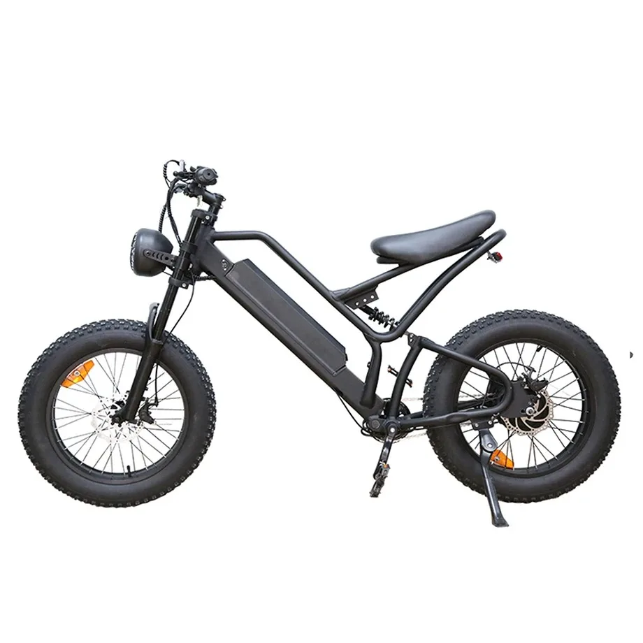 

20 Inch Motorcycle Electric Bike