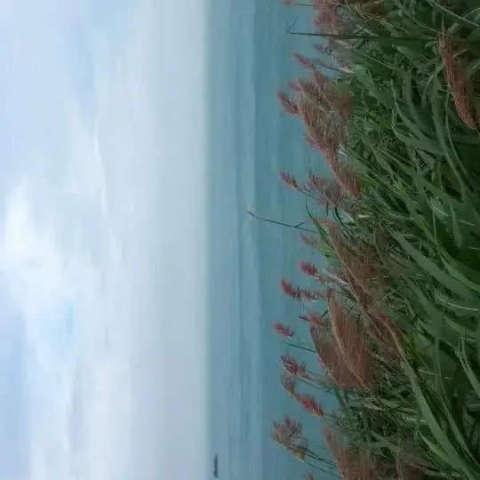 

4.8Ah For Milwaukee M12 Battery 12V Rechargeable Battery For Milwaukee M12 Tool 48-11-2402 48-11-2411 48-11-2401MIL-12A-LI