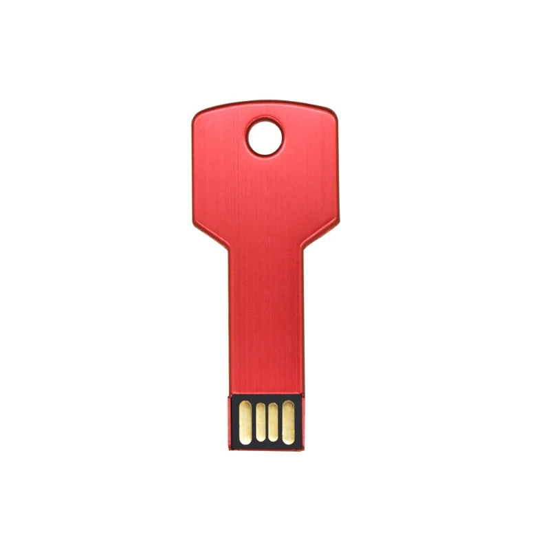 10 sztuk/partia niestandardowe zdjęcie Metal Pendrive Key USB Flash Drive 2.0 4GB 8GB 32GB 64GB urządzenie pamięci zdjęcie trzymać dobre prezenty pamięci