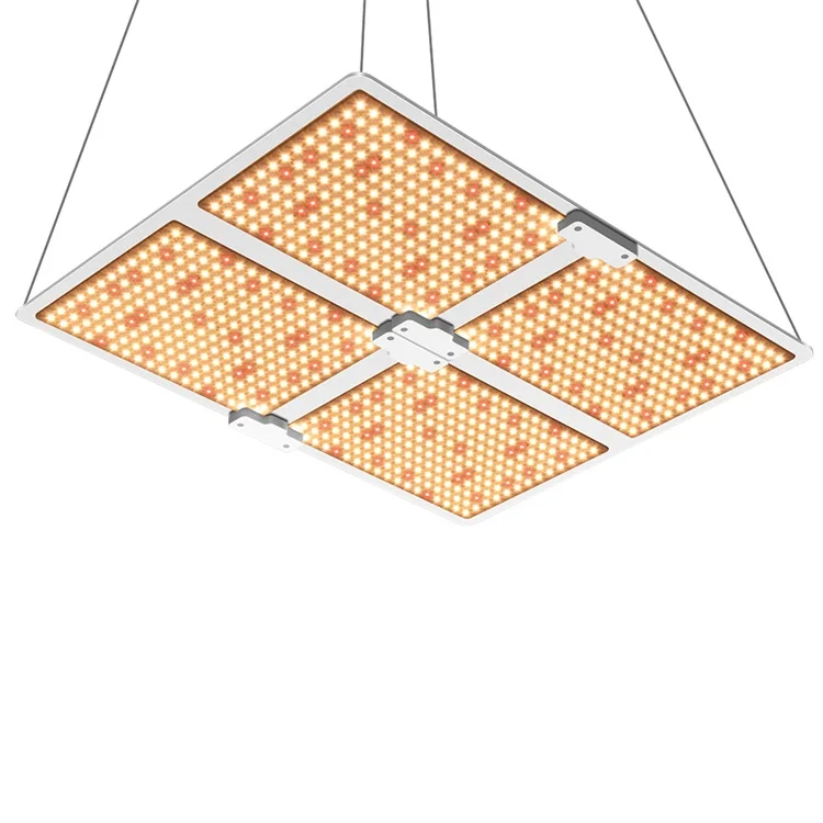 식물 재배용 COB LED 성장 조명, CXB3590, 3500K, 핫 세일