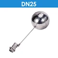 DN25