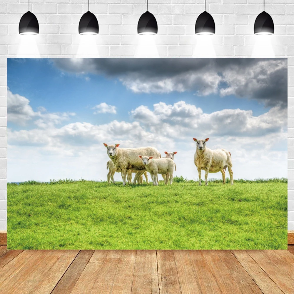 농장 녹색 잔디 실제 풍경 사진 배경 용수철, 흐릿한 야외 장면 사진 포토콜 배경 사진 스튜디오