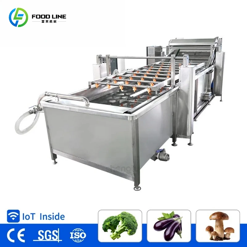 Customized Large Capacity Vortex Sweet Potato Washer Large-Scale Fruit and Vegetable Bubble Washer