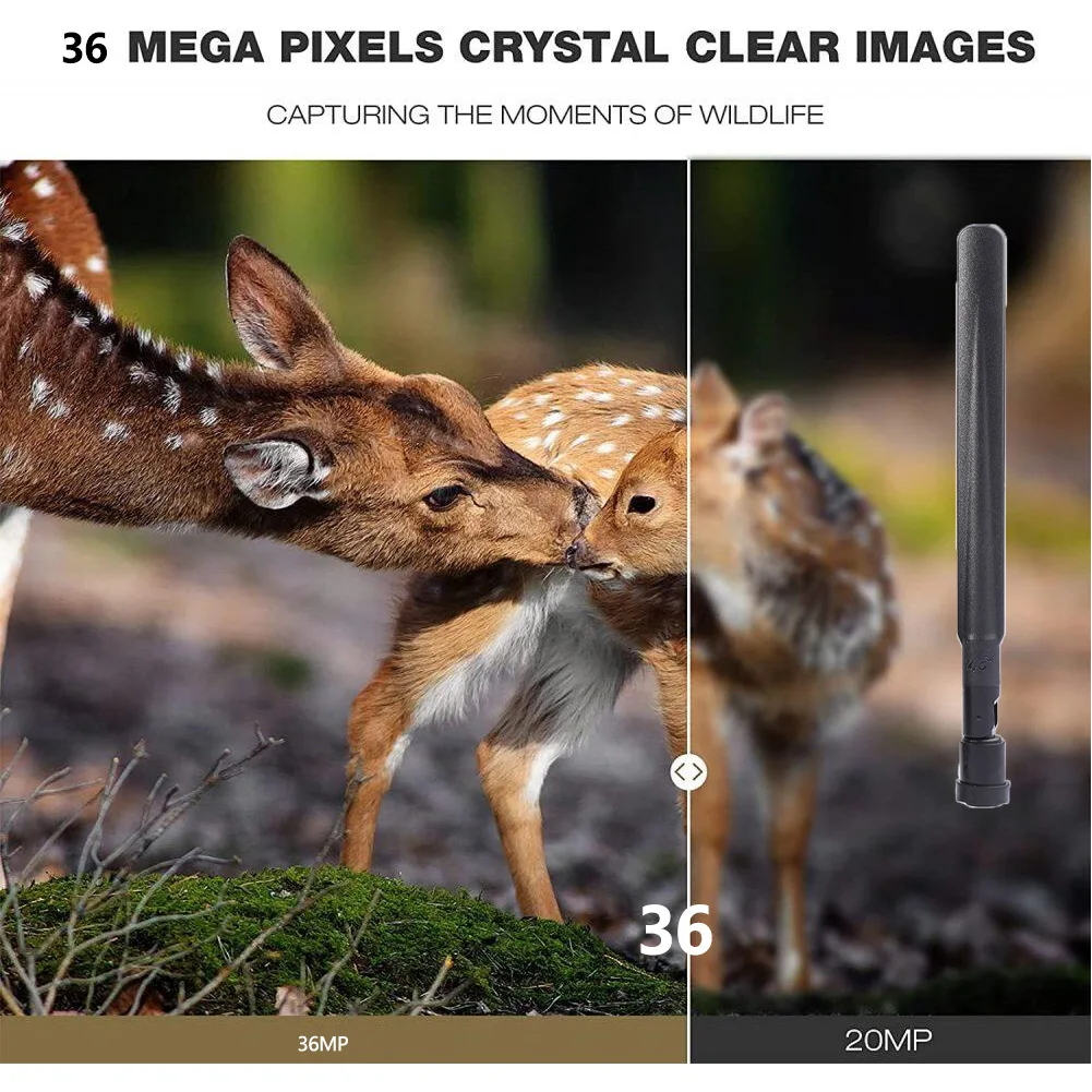 Cámara HC-801pro de fototrampeo 4K con conexión 4G y app móvil