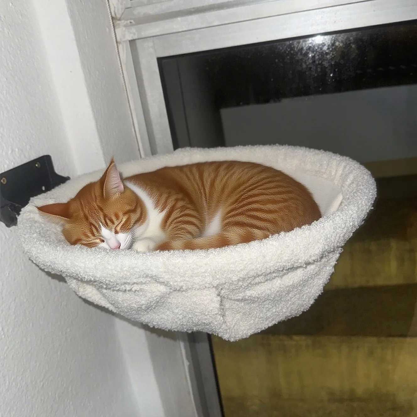 

Складной настенный гамак для кошек, устойчивые дышащие полки для сна и игр, скалолазание кошек, баскетбольная кровать в стиле каркаса для дома, кошачья кровать