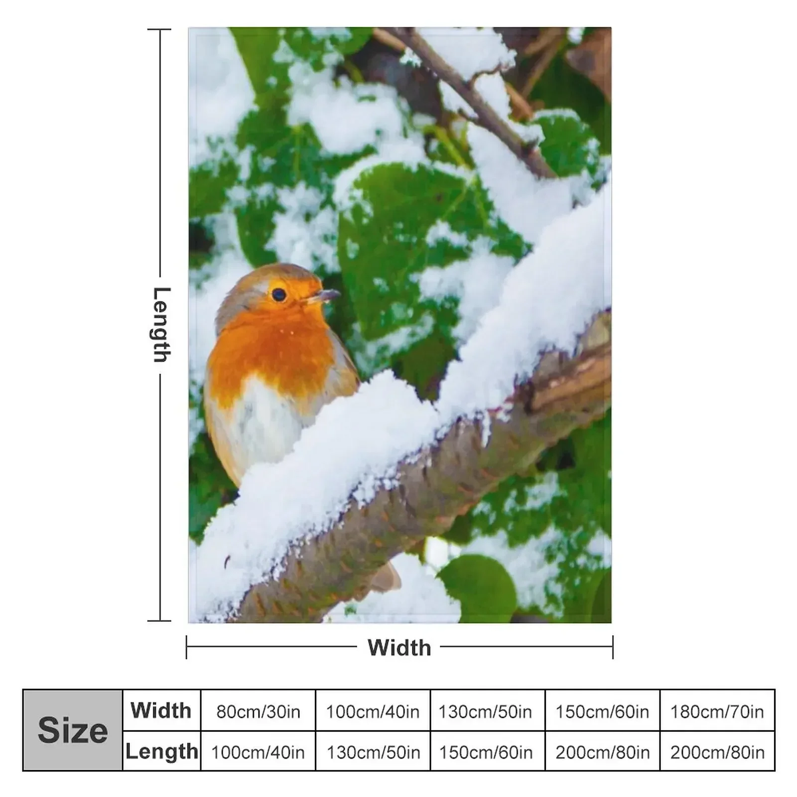 Robin in the Snow Throw Blanket Soft warm for winter Furrys anime Blankets