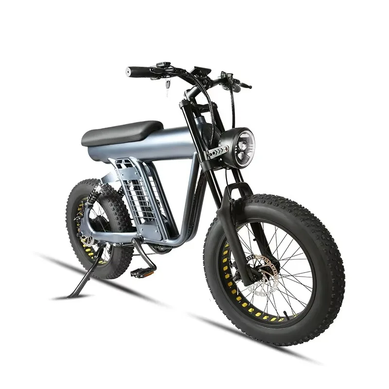 

N Inch Fat Tire Motor Lithium Battery Vintage Ebike Retro E Bike Bicycle Aluminum LCD Display Disc Brake 2500w Electric Bike