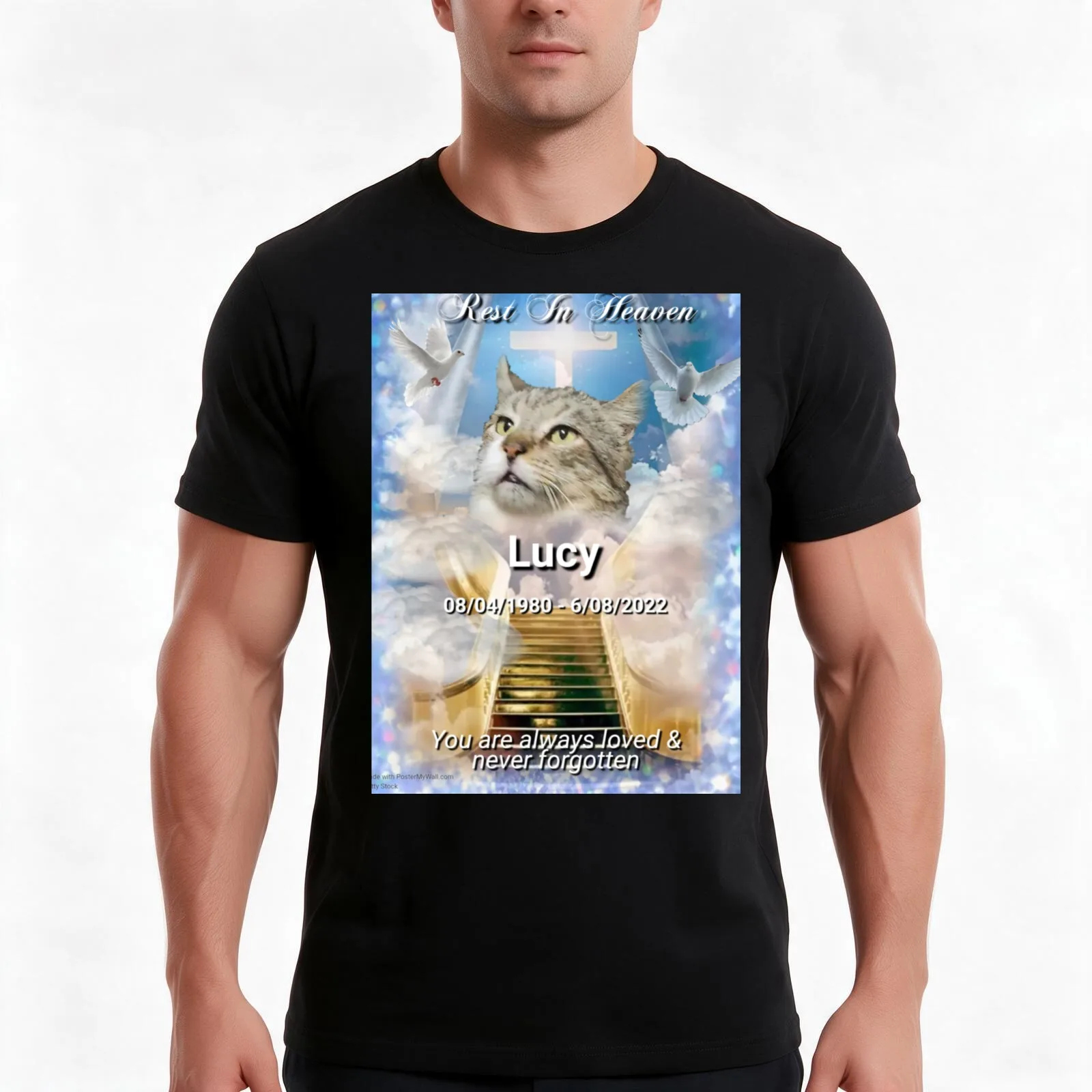 RIP IN PEACE LUCY T-Shirt, Summer Casual Cotton Tee, Oversized Streetwear Tops, Vintage Graphic Print, Loose Fit Short Sleeve